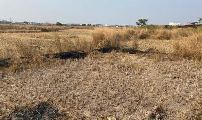 Project Image of 1000.0 - 10000.0 Sq.ft Residential Plot Plot for buy in Cityprop Plot In Vindhane