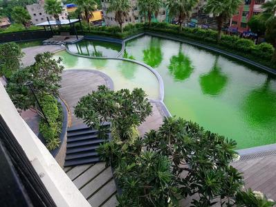 Project Image of 560.0 - 1215.0 Sq.ft 2 BHK Apartment for buy in Alcove Flora Fountain