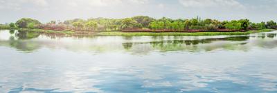 Project Image of 0.0 - 900.0 Sq.ft Residential Plot Plot for buy in Shreyam Hills
