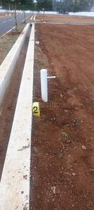 Project Image of 2358.0 - 4008.0 Sq.ft Residential Plot Plot for buy in Daisy Garden