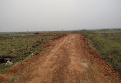 Project Image of 2400 Sq.ft Residential Plot / Land for sale in Pitapalli for Rs. 4920000