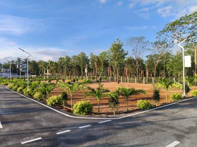 Project Image of 970.0 - 1684.0 Sq.ft Residential Plot Plot for buy in Ananya Global Garden