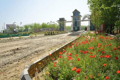 Project Image of 1129 Sq.ft Residential Plot / Land for sale in Badheri Rajputan for Rs. 4000000