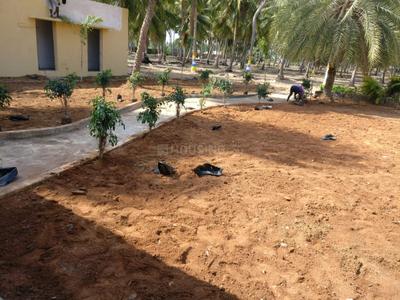 Project Image of 600.0 - 4800.0 Sq.ft Residential Plot Plot for buy in Accord Ranch City