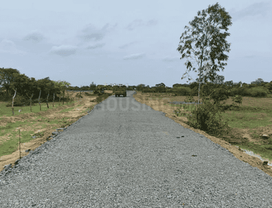 Project Images