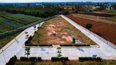 Project Image of 1300.0 - 12916.69 Sq.ft Residential Plot Plot for buy in Annciya Isha Serene