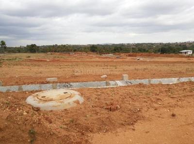 Project Image of 1162.0 - 4000.0 Sq.ft Residential Plot Plot for buy in Bhoomika Mango Grove II