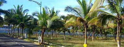 Project Image of 1200.0 - 1650.0 Sq.ft Residential Plot Plot for buy in JR Coco Nest Phase Three