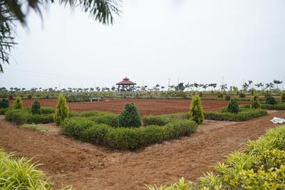 Project Images