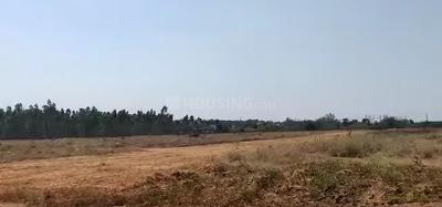Project Image of 891.9 - 3125.95 Sq.ft Residential Plot Plot for buy in Manyata Midlands