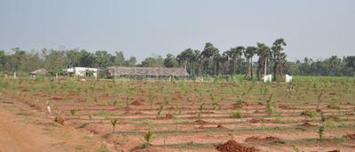 Project Image of 540.03 - 3635.94 Sq.ft Residential Plot Plot for buy in Sunrise Sai Vanam