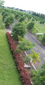 Project Image of 600.0 - 1243.0 Sq.ft Residential Plot Plot for buy in Premier Saraswathi Nagar