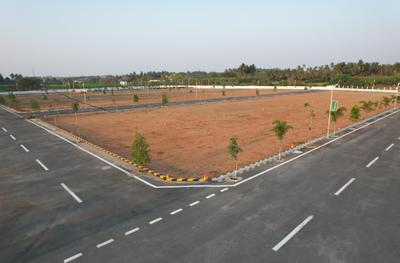 Project Images
