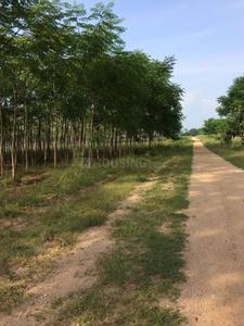 Project Image of 3375.0 - 5445.0 Sq.ft Residential Plot Plot for buy in Myneni Peacock Avenue