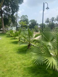 Project Image of 1648.9 - 2581.96 Sq.ft Residential Plot Plot for buy in Advaya Bhumi Assets Dreamcatchers