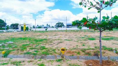 Project Image of 1200.0 - 2400.0 Sq.ft Residential Plot Plot for buy in Samruddhi Pride