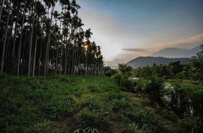 Project Image of 1000.0 - 5663.0 Sq.ft Residential Plot Plot for buy in ABI Maayya