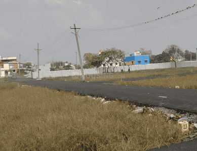 Project Images