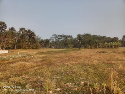 Project Image of 720.0 - 2880.0 Sq.ft Residential Plot Plot for buy in Aman City