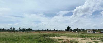 Project Image of 0.0 - 1500.0 Sq.ft Residential Plot Plot for buy in Kuteera