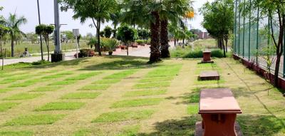 Project Image of 1400.0 - 10000.0 Sq.ft Residential Plot Plot for buy in Ruchi Lifescapes
