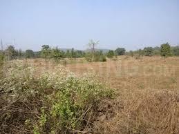Project Image of 1000.0 - 3000.0 Sq.ft Residential Plot Plot for buy in Bhoomi Plots In Jambhulpada