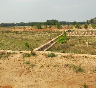 Project Image of 1200.0 - 2500.0 Sq.ft Residential Plot Plot for buy in Om Vihar