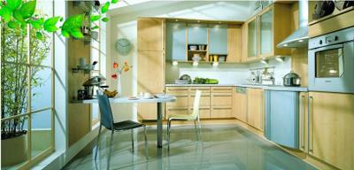 Shree Niketan Kitchen 1