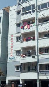 Shamrock Elevation 3