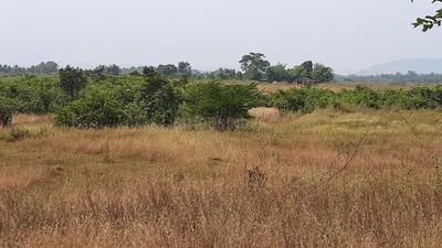 Project Image of 1000.0 - 5000.0 Sq.ft Residential Plot Plot for buy in Rama Ranjan Pada