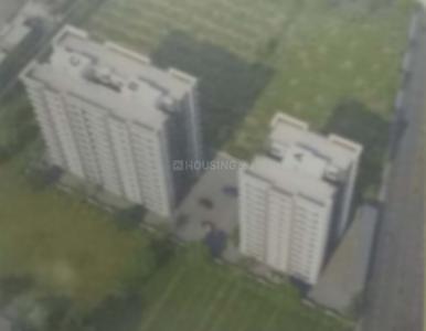 Project Images