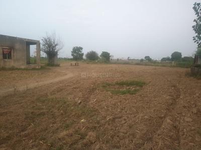 Project Image of 450.0 - 1855.0 Sq.ft Residential Plot Plot for buy in Awash Vikash Manokamna Village