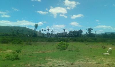 Project Image of 1260.02 - 5201.98 Sq.ft Residential Plot Plot for buy in Sai Golden City