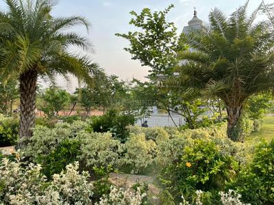 Project Image of 900.0 - 10000.0 Sq.ft Residential Plot Plot for buy in Mauli Nagar 09 Sector A