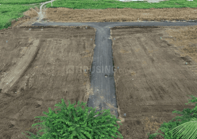 Project Images