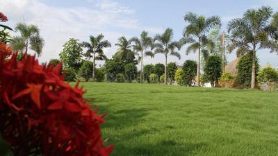 Project Image of 810.0 - 3600.0 Sq.ft Residential Plot Plot for buy in Peram Aditya Grand Phase 4 2
