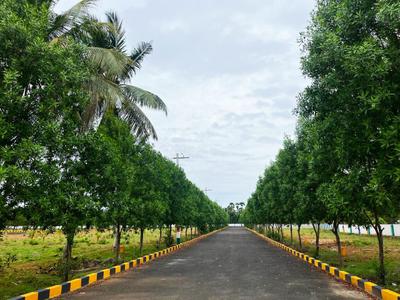 Project Image of 1080.0 - 9000.0 Sq.ft Residential Plot Plot for buy in Siri Vishnupuram 2