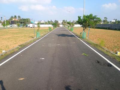 Project Image of 990.0 - 2050.0 Sq.ft Residential Plot Plot for buy in Chaitanya Avenue