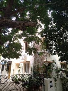 Project Image of 1200.0 - 1515.0 Sq.ft 3 BHK Apartment for buy in Shreyas Apartments