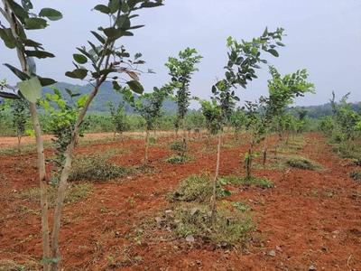 Project Image of 0.0 - 1800.0 Sq.ft Residential Plot Plot for buy in Charan Sandal Gardens