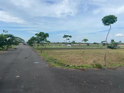 Project Image of 887.0 - 7850.0 Sq.ft Residential Plot Plot for buy in Silo Vika Sri Sai City