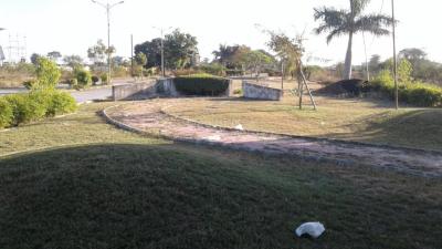 Project Images