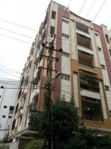 Project Images