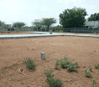 Project Images