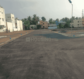 Project Images
