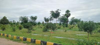 Project Image of 1303.0 - 4134.0 Sq.ft Residential Plot Plot for buy in SRR Gachibowli Paradise County Phase 4