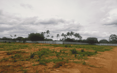 Project Image of 2057.95 - 3185.9 Sq.ft 4 BHK Villa for buy in Neighbourhood Tree Park