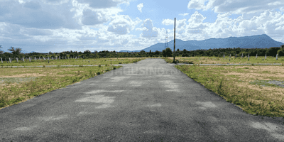 Triple S Nagar Internal Road 3