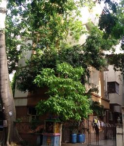 Project Image of 860.0 - 1120.0 Sq.ft 2 BHK Apartment for buy in Nutech Diamond Enclave