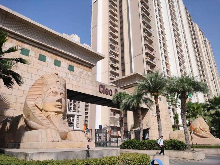 ABA Cleo County - Image 3